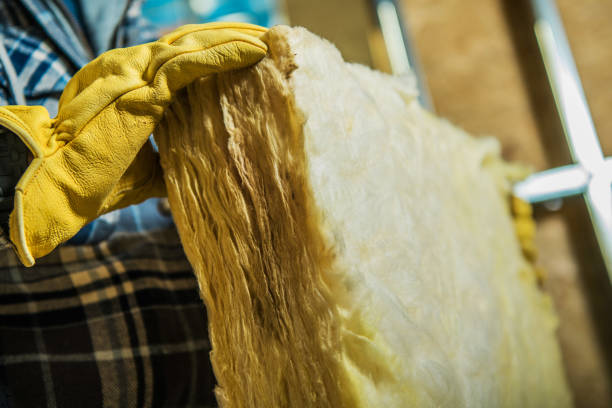 Best Insulation Materials and Products in Ripley, WV